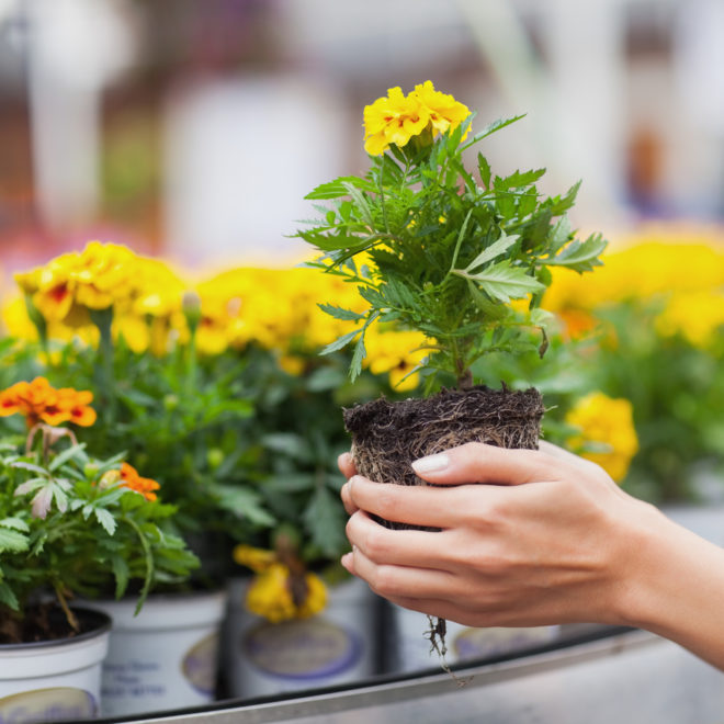 Our Story Zadlock Garden & Landscape Supply in Califon, NJ