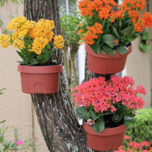 Planters & Accessories