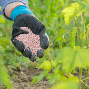 Soil Amendments