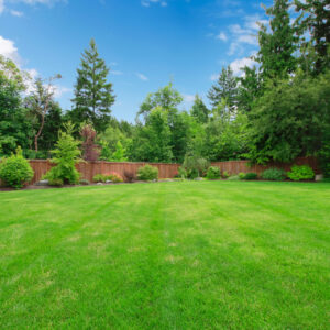 Green large fenced backyard with lawn trees.