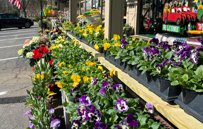 Front Flowers (4)