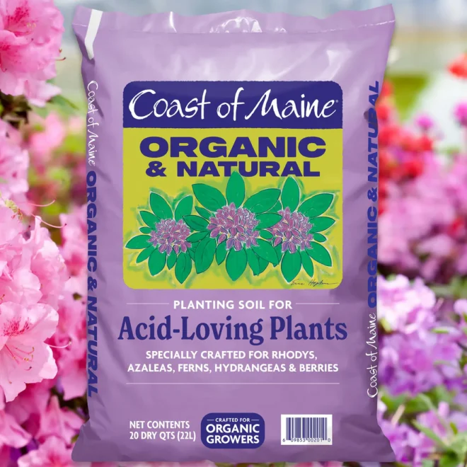 Coast of Maine Organic & Natural Planting Soil for Acid-Loving Plants