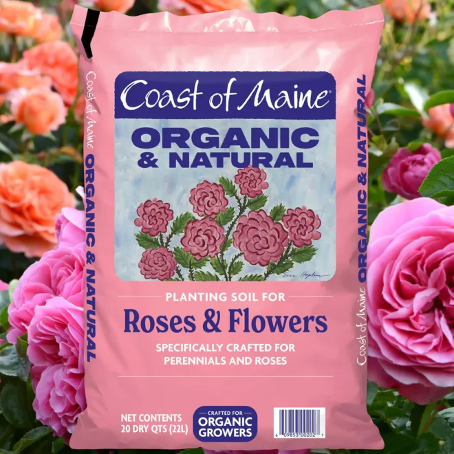 Coast of Maine Organic & Natural Planting Soil for Roses & Flowers