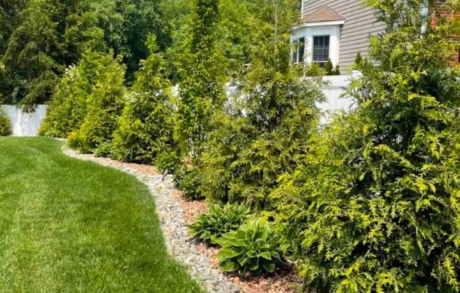 Landscape Design-Pricing-4