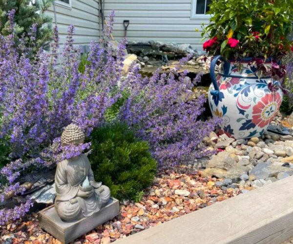 Landscape Design-Pricing-5