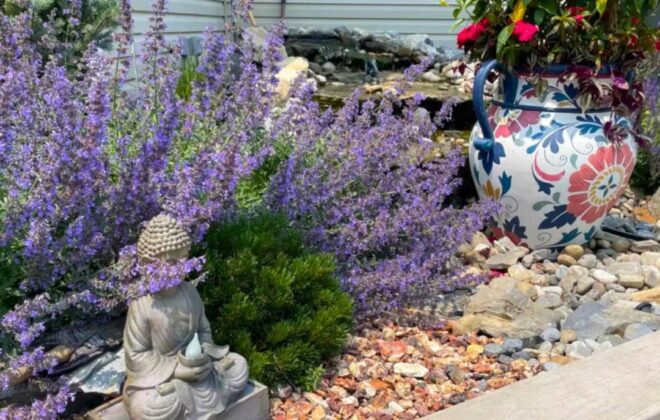 Landscape Design-Pricing-5